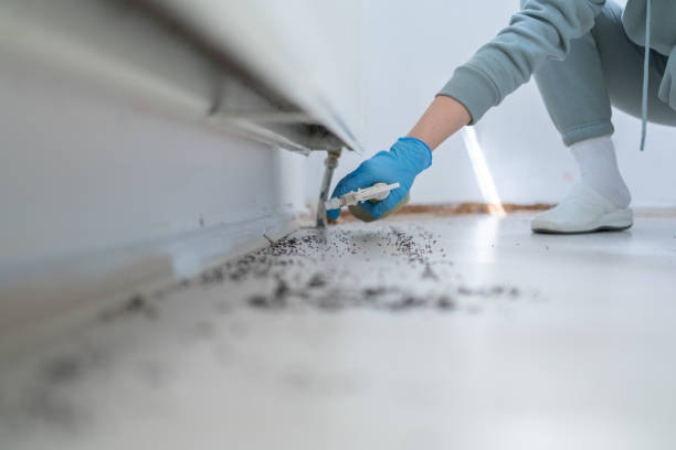 Best Pest Inspection Near Me  in USA